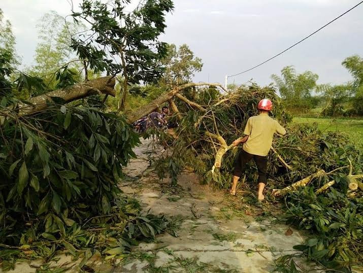 Loc xoay “can quet” Ha Tinh, thiet hai 16 ty-Hinh-2