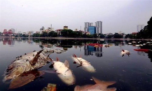 Ca chet trang ho Hoang Cau Trach nhiem thuoc ve ai