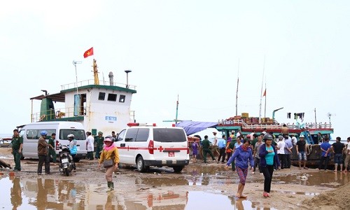 Chim tau hang gan dao Con Co, nhieu nguoi gap nan