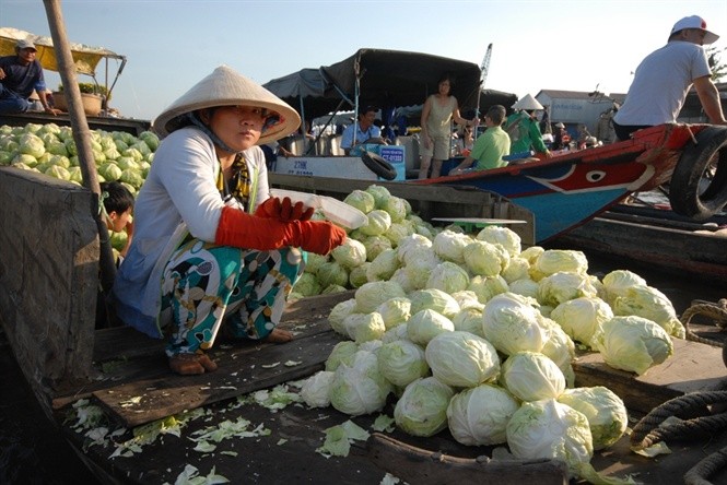 Ngam cho noi ngay Tet o mien Tay-Hinh-6