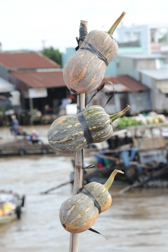 Ngam cho noi ngay Tet o mien Tay-Hinh-8