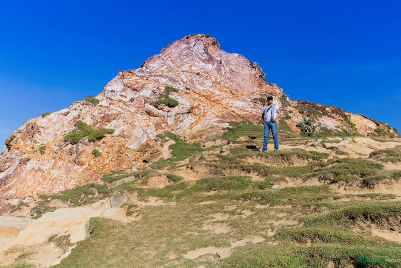 Anh: Ban tinh ca cua bien tren hai xa dao tuyet dep o Quy Nhon-Hinh-4