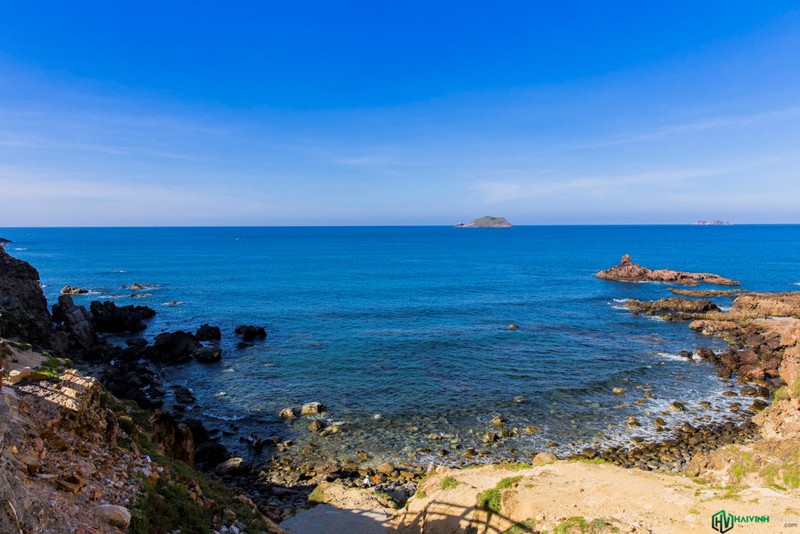 Anh: Ban tinh ca cua bien tren hai xa dao tuyet dep o Quy Nhon-Hinh-5