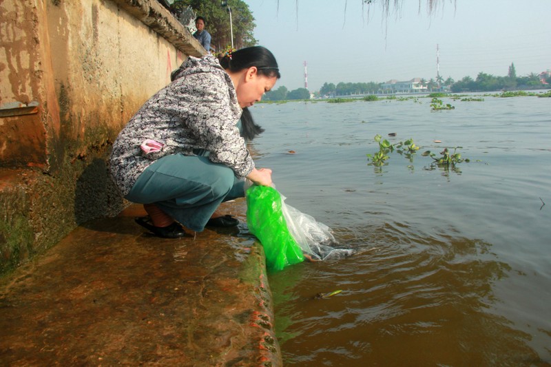 Buc xuc canh chich dien bat ca chep ngay ong Cong, ong Tao-Hinh-3