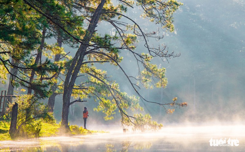 Da Lat mo mang trong 'mua nang lanh' dep nhat nam