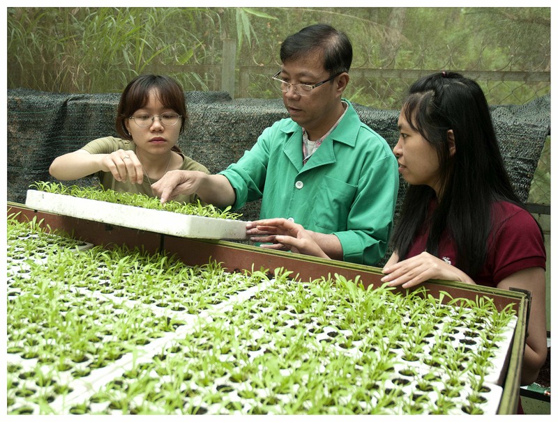 GS.TS Duong Tan Nhut nguoi nhan giong thanh cong nhieu giong hoa Da Lat-Hinh-3