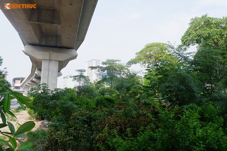 Ngan ngam du an duong sat tren cao, dan de xuat trong hoa cho do lang phi-Hinh-2