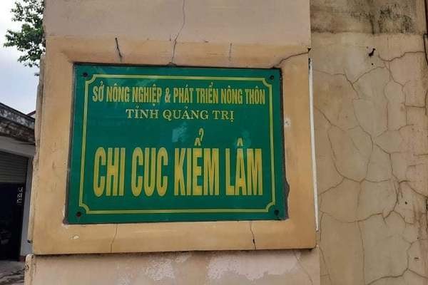 Chi cuc Kiem lam sai pham tien ty: Chuyen ho so sang co quan dieu tra