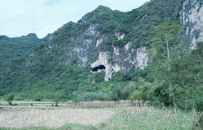 Ki la nghe nhat phan “vua”