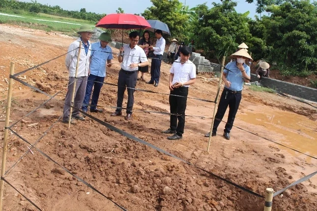 Mo co vua phat hien o Ha Noi se duoc khai quat