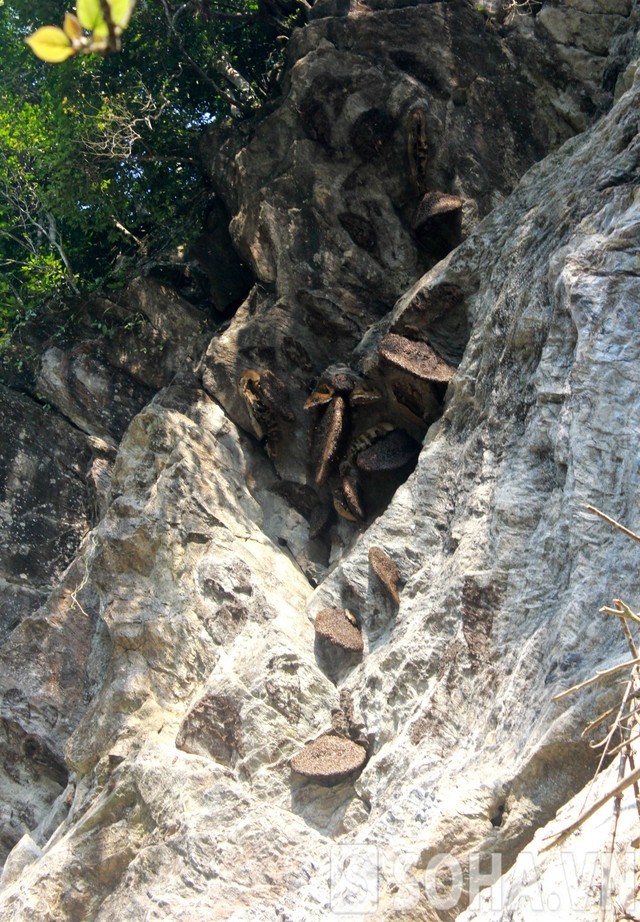 To ong khong lo cho nguoi xin mat o Tuyen Quang