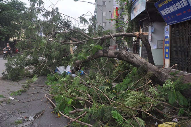 Ha Noi tan hoang sau tran mua giong kinh hoang-Hinh-8