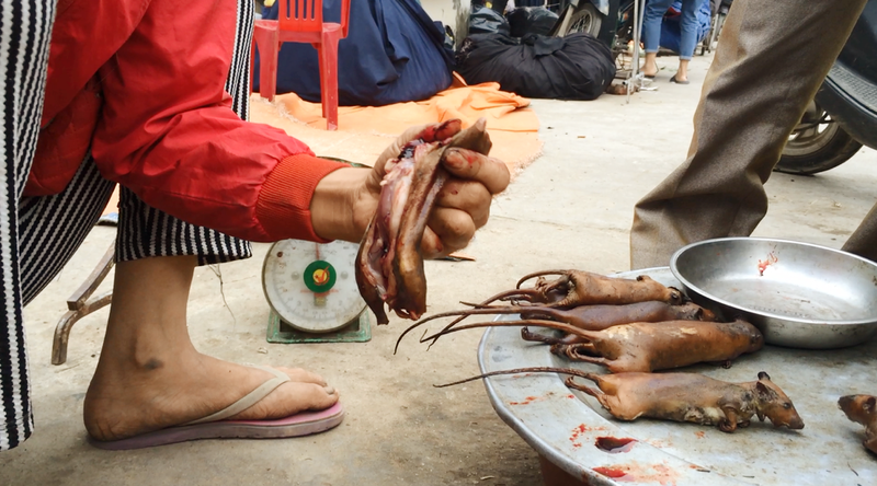 Noi nguoi dan 