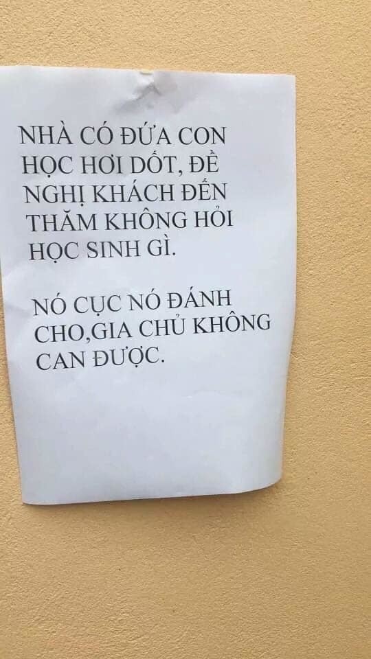 Ro phong trao “nha co dua dang... khach den choi Tet dung hoi”-Hinh-3