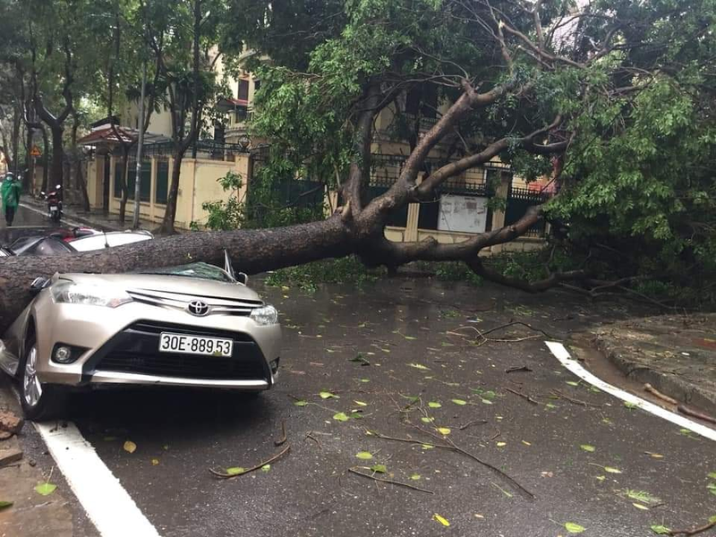 Duong pho Ha Noi bien thanh 