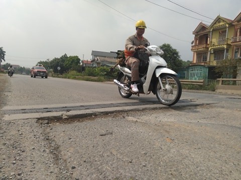 Xe qua kho, qua tai “tan pha” nhung cay cau o Ha Noi-Hinh-8