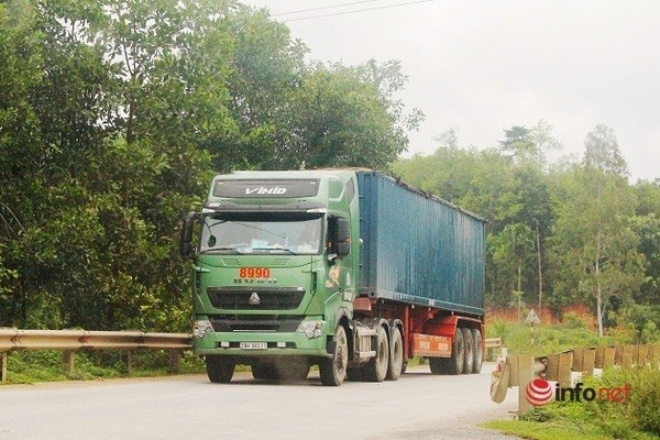 Xe cat noc container cho cat dap ngon 'lam mua lam gio', CSGT bo tay-Hinh-13