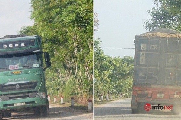 Xe cat noc container cho cat dap ngon 'lam mua lam gio', CSGT bo tay-Hinh-6