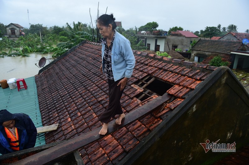 Lu lon lich su o Quang Binh, nguoi dan leo noc nha cho ung cuu-Hinh-3