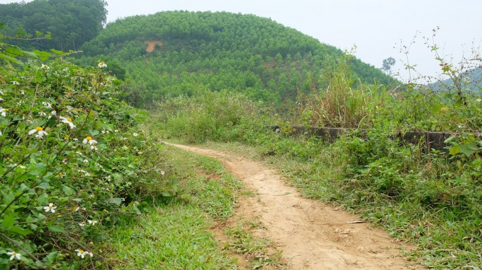 Nghi ngu voi vo nguoi khac, nguoi dan ong gap hoa