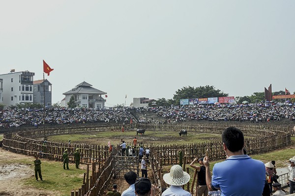 Lo bi kip de trau choi mat long song soc, huc nhu dien tren soi dau-Hinh-2