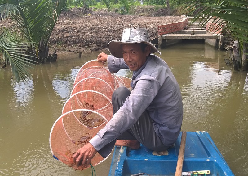 Ngay Tet, cua bien ngon nhat mien Tay gia 1 trieu dong/kg