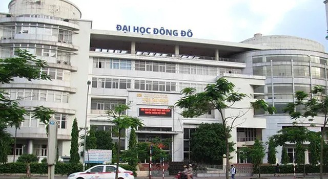 Dai hoc Dong Do cap bang gia cho 203 nguoi