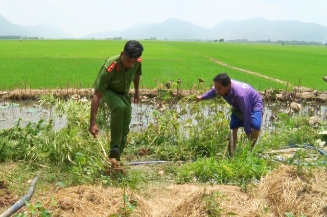 Tin nong ngay 15/3: Bi tong tien khi gui anh nhay cam cho ban trai-Hinh-5