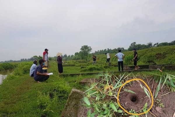 Ke xau khoan lo hang tram ngoi mo o Thai Binh 