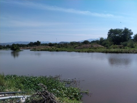 Tin nong 3/6: Sau khi quan he, doi tien ban dam nguoi phu nu bi dam chet-Hinh-8