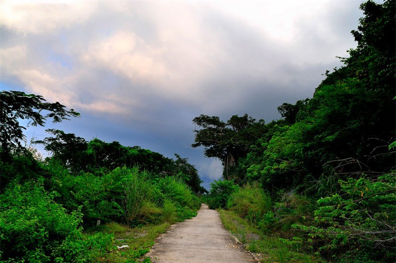 Ngam net binh di cua quan dao Hai Tac tai Viet Nam-Hinh-3