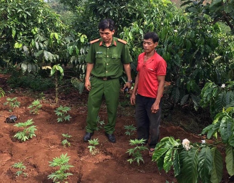 Lien tiep cac vu trong can sa bi “pha“: Ca Tay lan ta ban minh cho ma tuy-Hinh-4