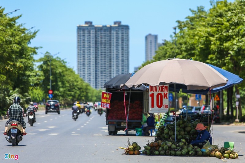 Dai lo nghin ty ngon ngang rac thai, vat lieu xay dung-Hinh-12