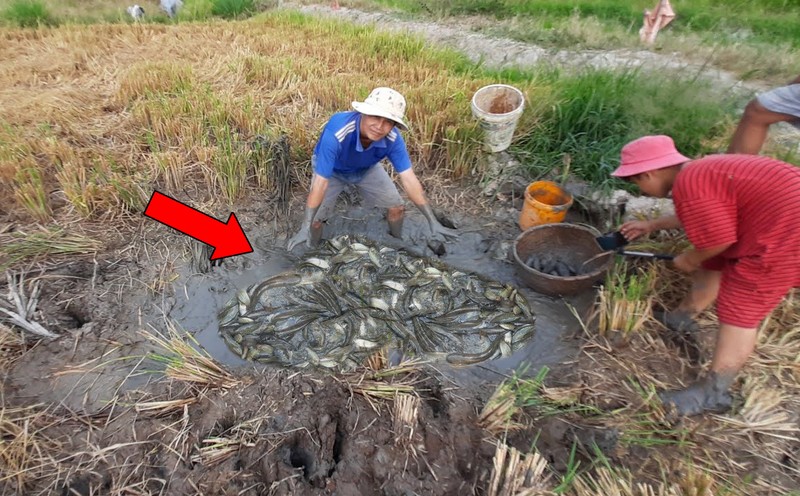 Nhom nguoi tat can vung nuoc ngoai dong va ket qua day bat ngo