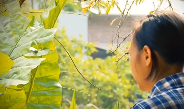 Hanh trinh pha an: Ga trai ban hang loat “nguoi yeu” sang Trung Quoc-Hinh-2