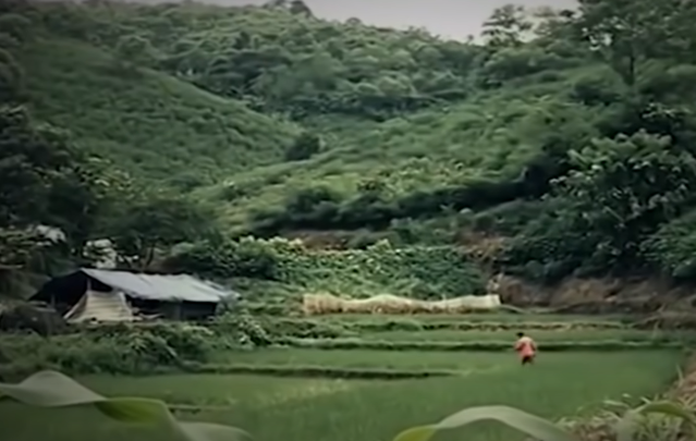 Hanh trinh pha an: 4 xac nguoi trong 1 gia dinh... giai ma nhat dao oan nghiet-Hinh-10