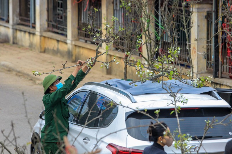 Nguoi Ha Noi 'choi Tet' som voi hoa le rung-Hinh-12