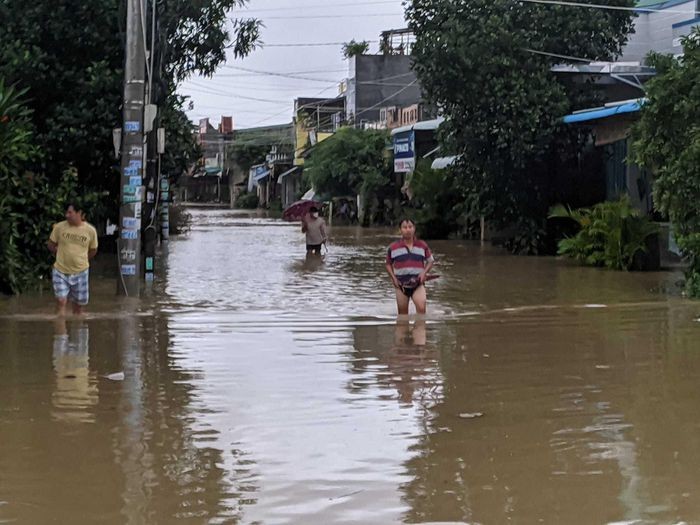 Mua rat to o Binh Dinh khien hang ngan can nha bi ngap sau-Hinh-2