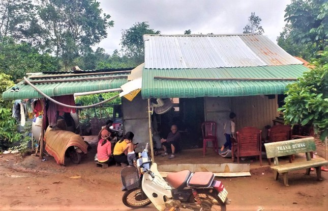 Nguoi ngheo Tay Nguyen: No nan trong vong xoay lai chong lai