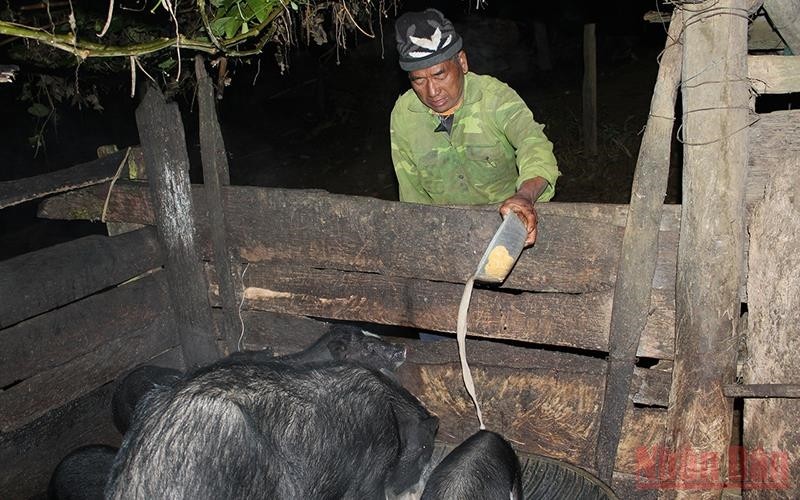 Doc dao phong tuc don Tet cua dong bao dan toc Mong