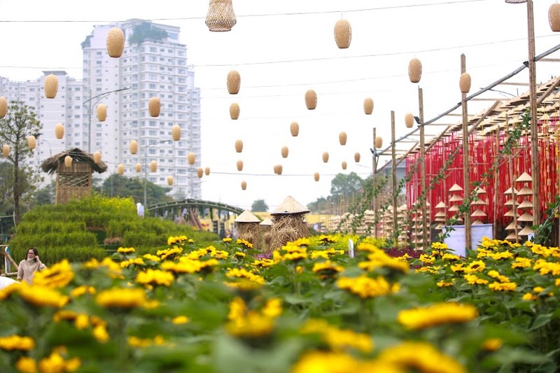 Chiem nguong duong hoa xuan da sac phia Tay thu do Ha Noi-Hinh-6