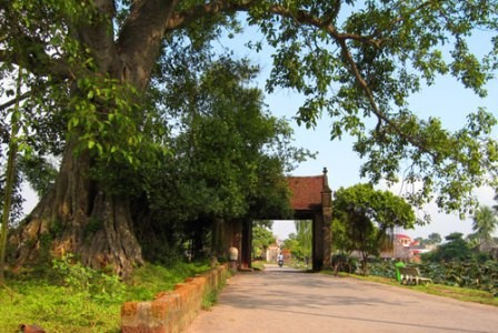 Trum giang ho khet tieng Van Tuyen va con duong hoan luong ki la-Hinh-3