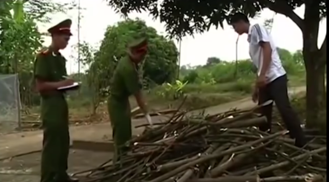 Hanh trinh pha an: Rung ron xac chet bi an duoi day gieng-Hinh-7