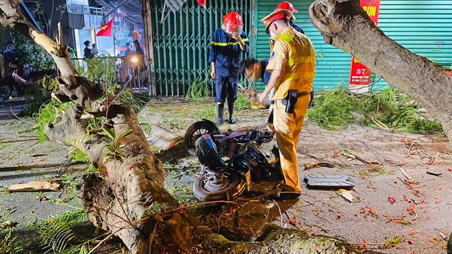 Ha Noi: Xe container va vao cay phuong, mot hoc sinh nhap vien-Hinh-3