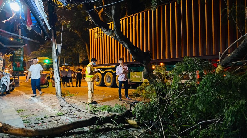 Ha Noi: Xe container va vao cay phuong, mot hoc sinh nhap vien-Hinh-4