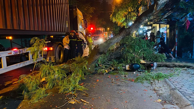 Ha Noi: Xe container va vao cay phuong, mot hoc sinh nhap vien-Hinh-5