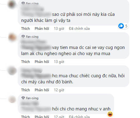 Phan ung cua Phuong Trinh Jolie khi bi hoi: 'Mua xe tra tien ngan hang chua?'-Hinh-6