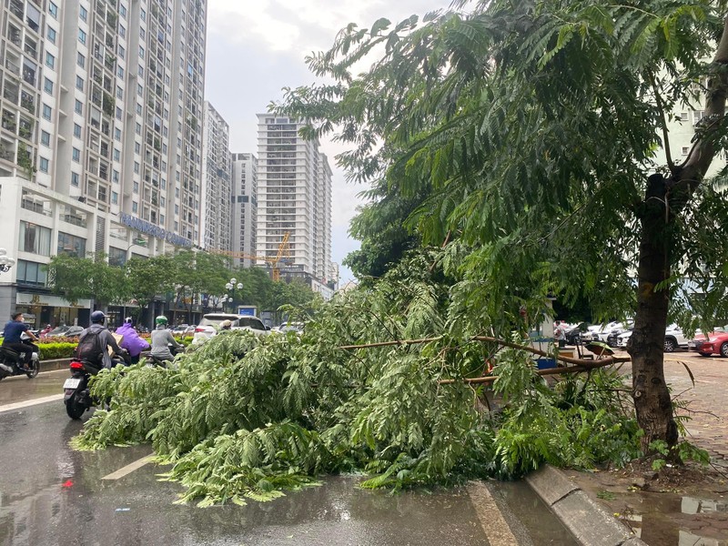 Ha Noi: Mua lon khien nhieu tuyen pho ngap, cay do de o to-Hinh-11