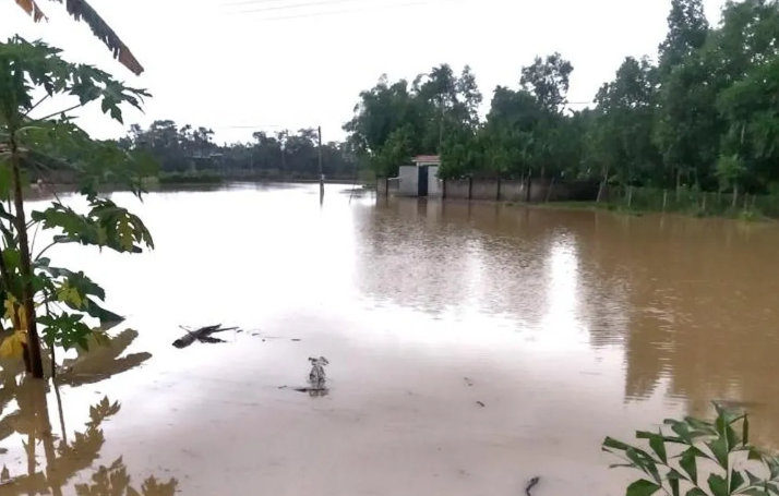 Mua lon trong dem khien nhieu tuyen duong o Nghe An ngap sau-Hinh-14