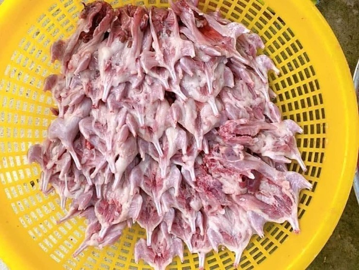 Loai hoi ham ngoai dong gio thanh dac san gia 300.000 dong/kg-Hinh-2